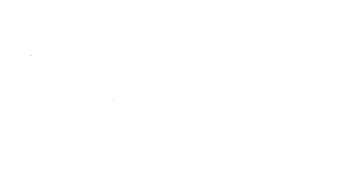 Sky Sim Flight Training
