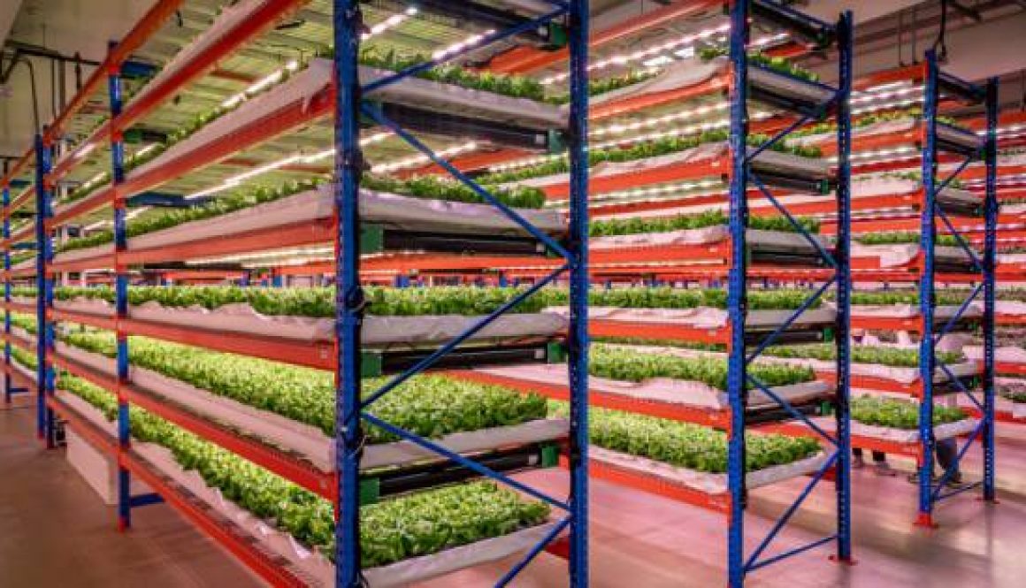 Emirates Flight Catering Completes Acquisition of Bustanica, World’s Largest Indoor Vertical Farm