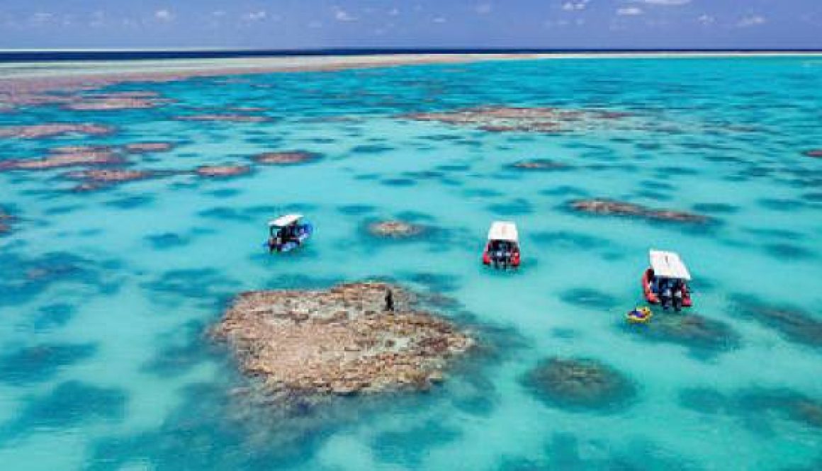 Qantas & Great Barrier Reef Foundation Collaborate to Restore Coral Reefs and Combat Climate Change