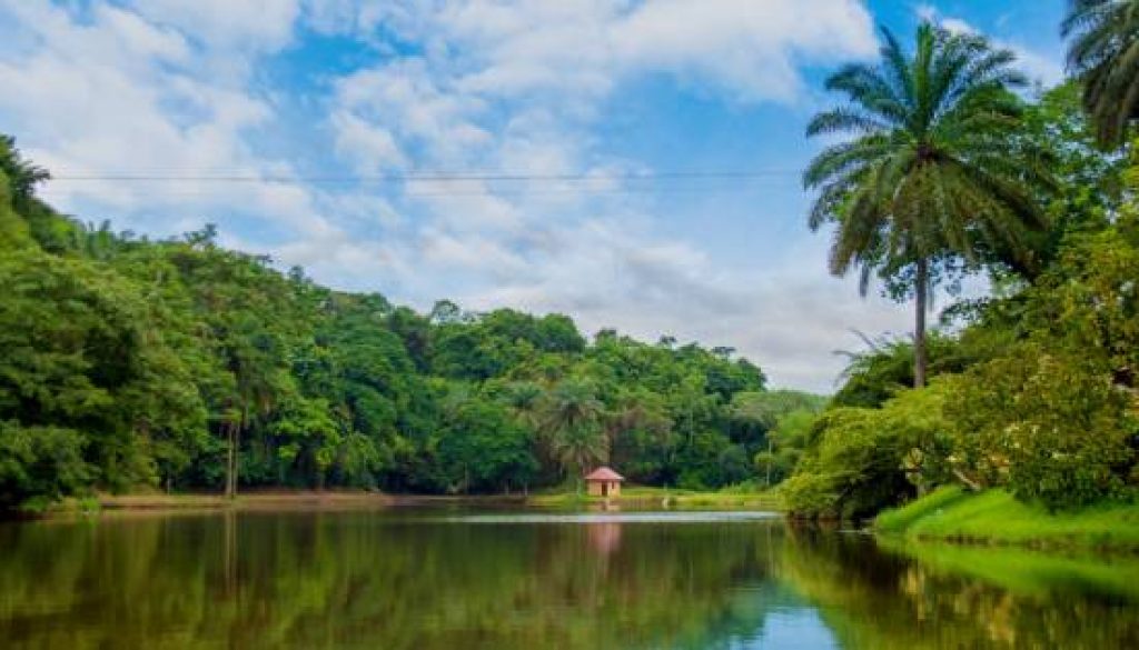 Qatar Airways Expands African Network with New Route to Kinshasa, DRC