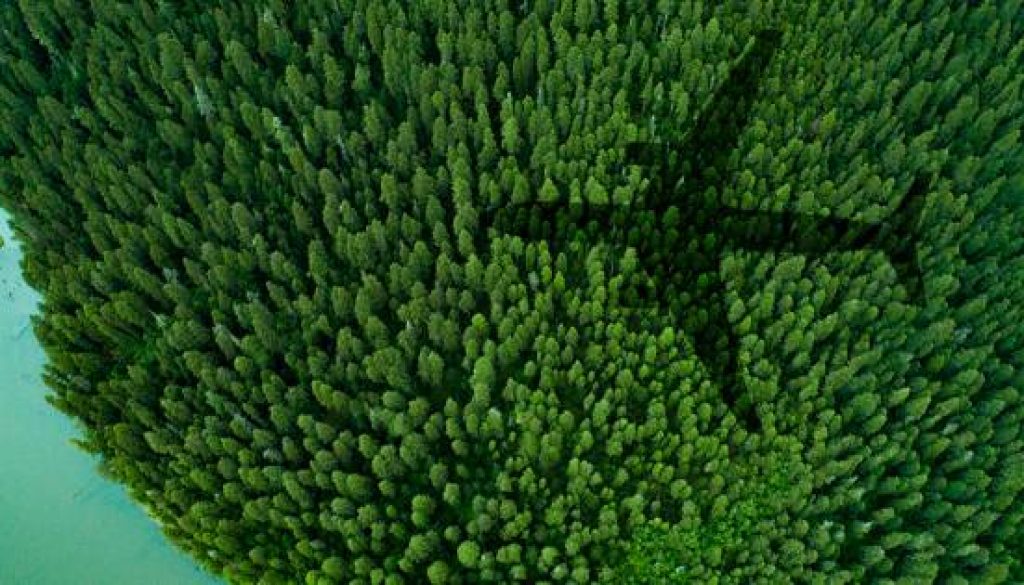 American Airlines releases 2023 Sustainability Report