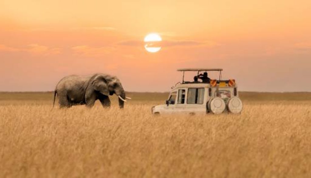 ETIHAD AIRWAYS CONFIRMS RESTART OF FLIGHTS TO NAIROBI