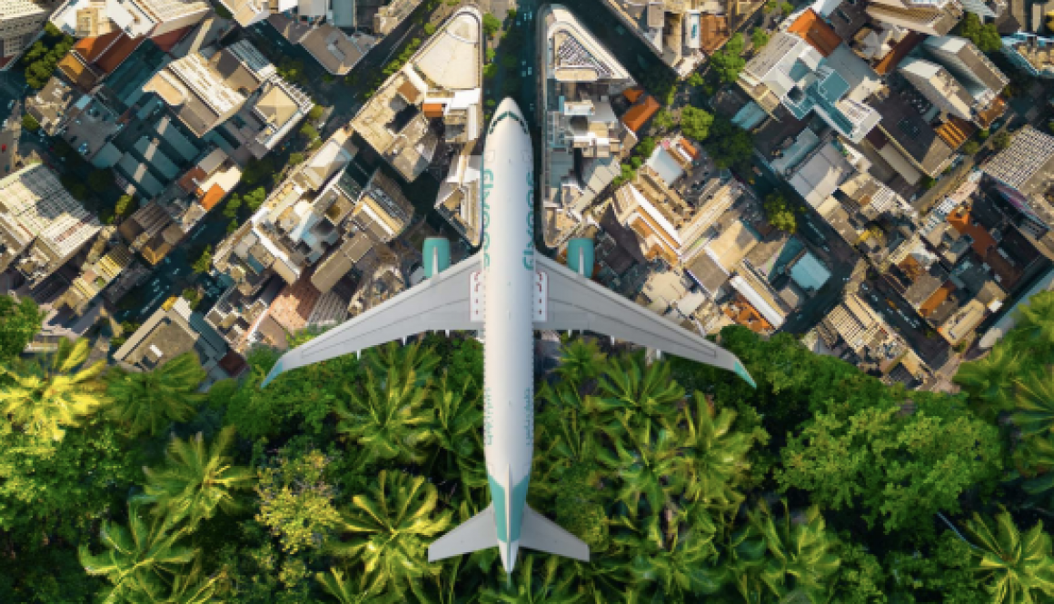 flynas Sustainability Performance in 2024