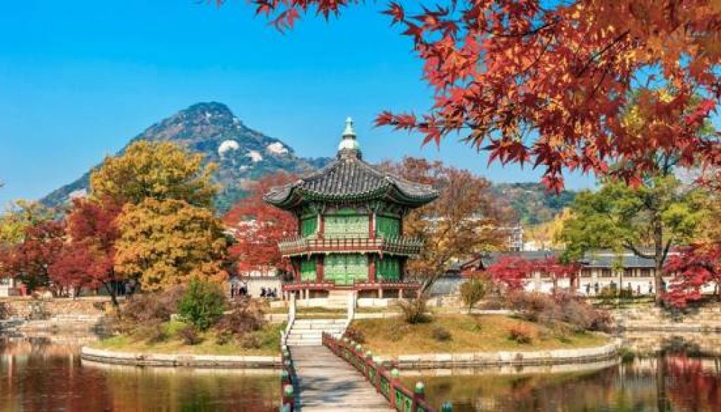 SAS unveils largest-ever summer expansion