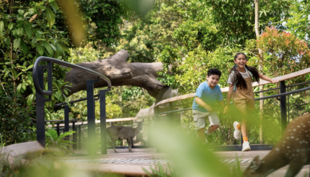 Singapore Airlines Group And Mandai Wildlife Group Team Up