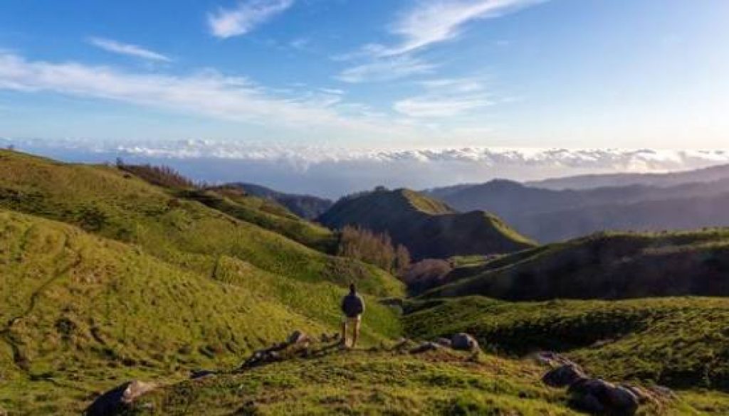 Madeira Expands UK Flight Connections With 4.9% More Weekly Services for the 2025/26 Winter Season