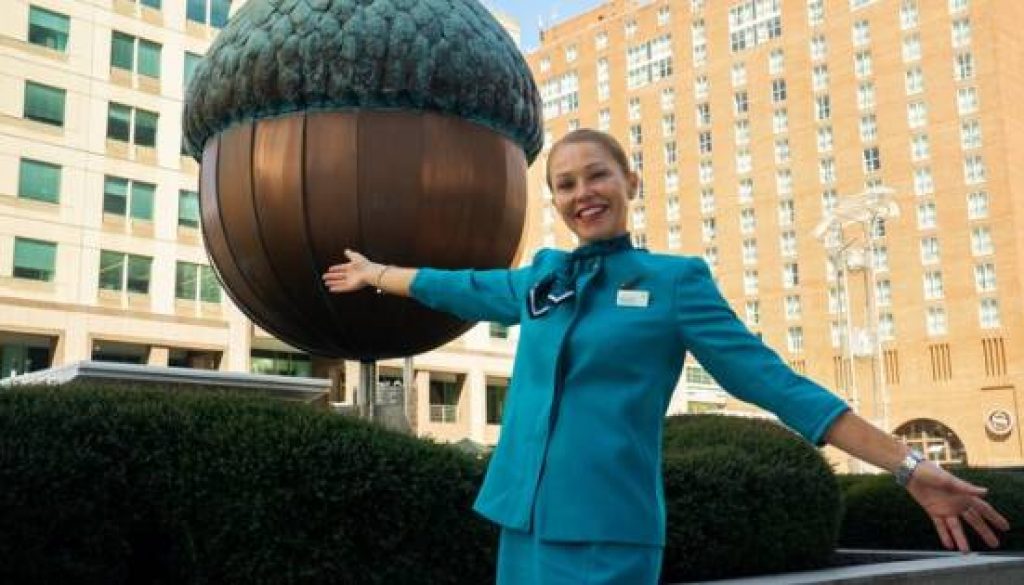 Aer Lingus launches biggest ever transatlantic schedule for 2026