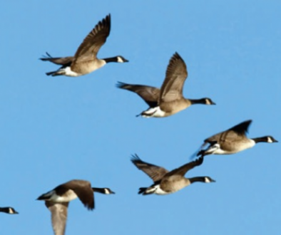 Airbus and partners complete successful wake energy retrieval trials