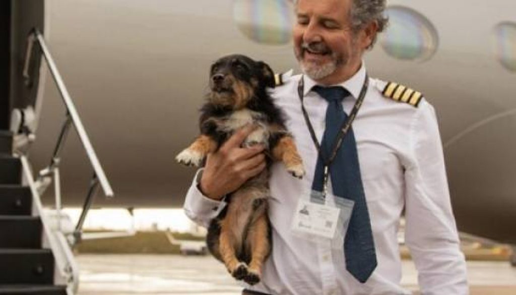 Vicuna Air Expands U.S. In-Cabin Pet Travel Network with New Routes