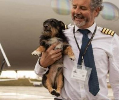 Vicuna Air Expands U.S. In-Cabin Pet Travel Network with New Routes